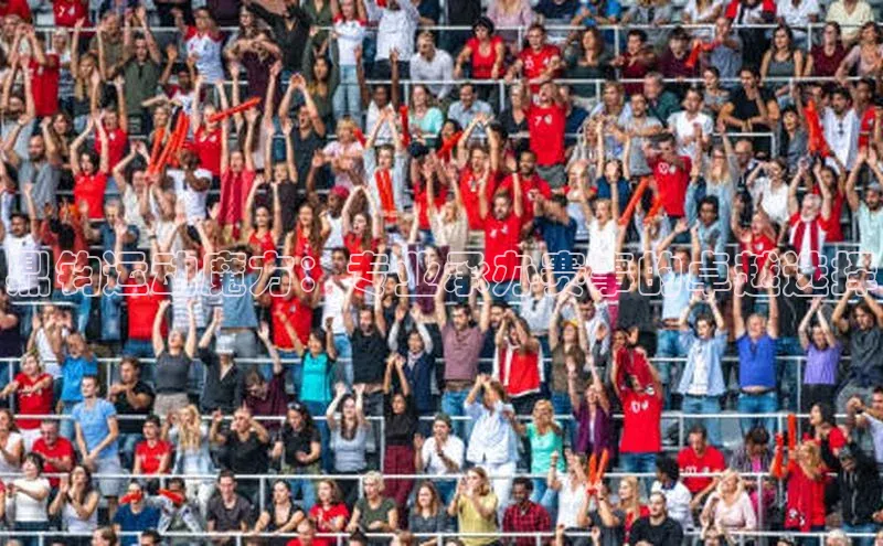 欧陆平台网站京东