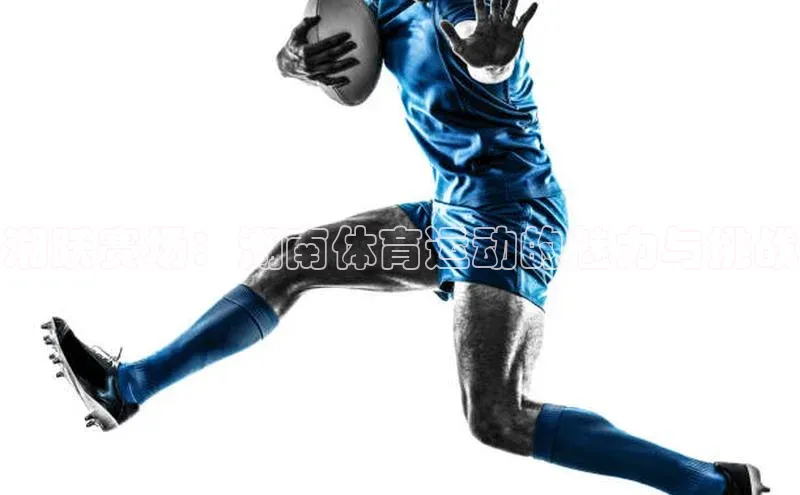 欧陆娱乐平台登录app