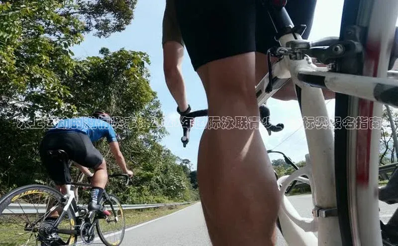欧陆平台登录地址